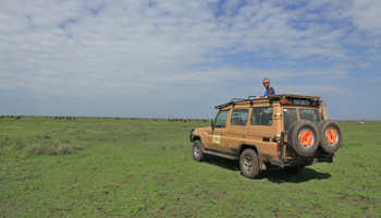 Prischfahrt in der unendlichen Weite der Serengeti
