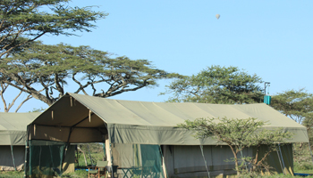 Mobilies Camp im Serengeti Nationalpark