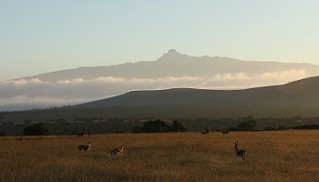 Mount Kenya im Morgendlicht
