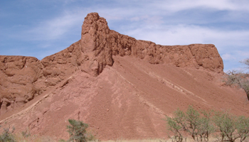 petrified Dunes