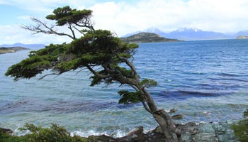 Tierra del Fuego - Feuerland - Argentinien