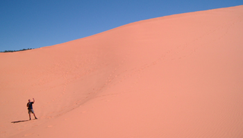 Coral Pink Sand Dunes State Park, Utah, USA Coral Pink Sand Dunes State Park, Utah, USA