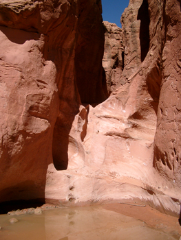 Peek-A-Boo-Gulch  - Hole-in-the-rock Road; Utah, USA