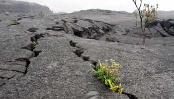 Kileau Iki Trail, Hawaii Volcanoes Nationalpark, Big Islan