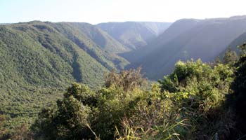 Polulo Valley, Bis Island / Hawaii