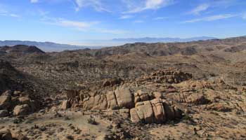 Cottonwood Spring - Joshua Tree Nationalpark