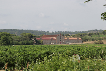 Haut_Minervois