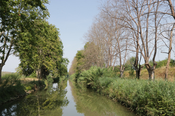 Canal du Midi - Impression