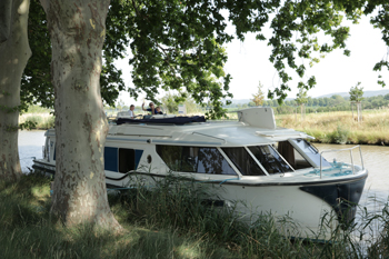 Canal du Midi - Platanen