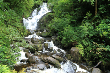 Torc Wasserfall im Killarney Nationalpark