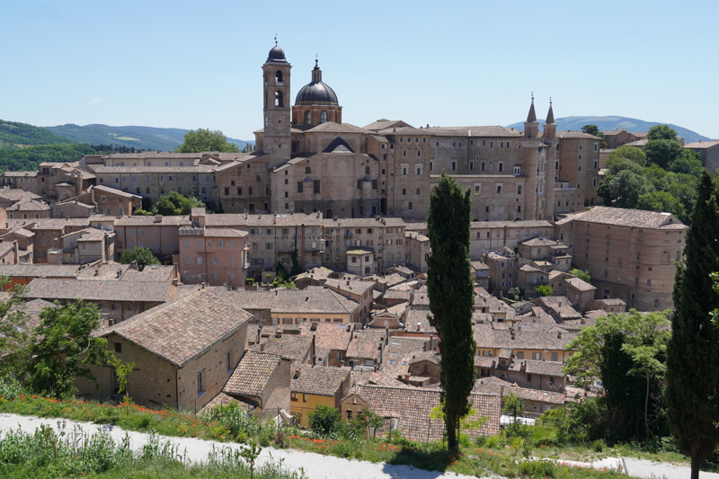 Urbino
