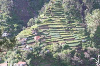 Terrassenwirtschaft auf Madeira Terrassenwirtschaft auf Madeira