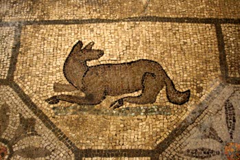 Ausschnitt aus dem Fußbodenmosaik in der Cripta degli Scavi