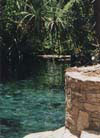 Mataranka Pool Nature 