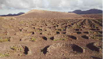 Weinanbau auf Lanzarote