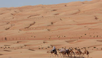 Endlose Wüste in Oman
